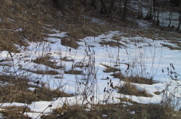 Снег продолжает таять
