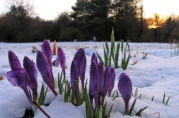 Температура значительно выше нормы