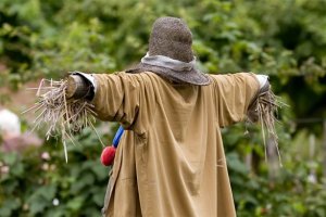 Чучелизация страны