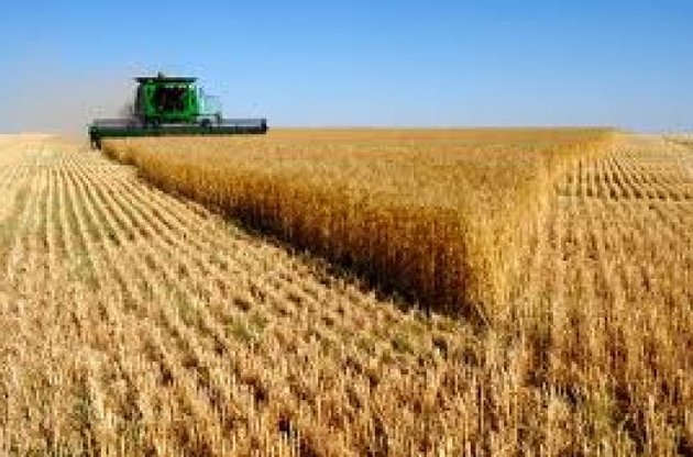 Україна збільшила експорт зерна на 5 мільйонів тонн