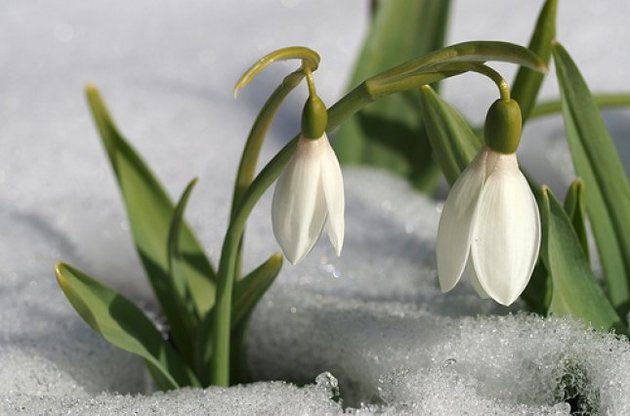 З 26 по 29 березня очікуються морози, але вже без снігопадів