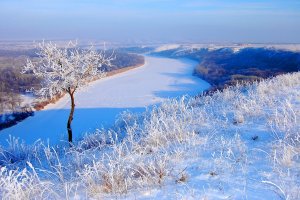Сім няньок  і Сіверський Донець