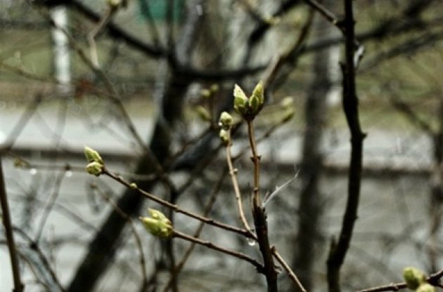 Весна в Киеве задерживается