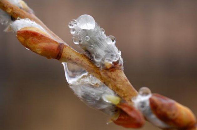 В Україні стане холодніше, наступний тиждень почнеться з заморозків