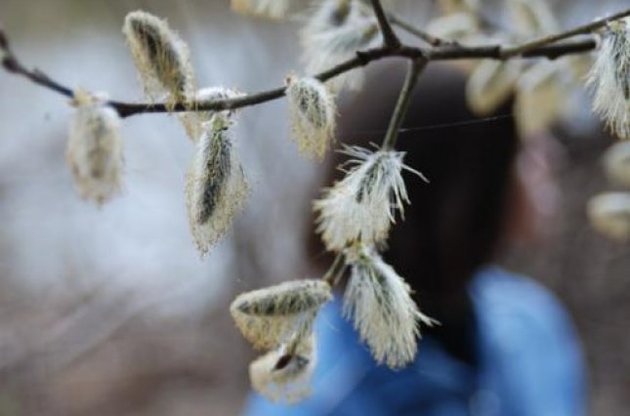 Температура в Киеве снизится на десять градусов
