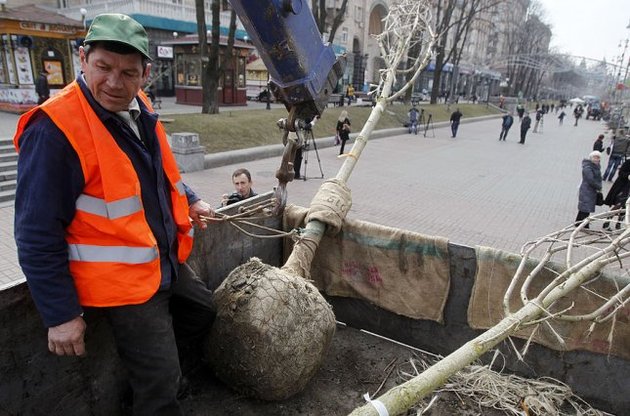 Киевские власти уверяют, что "сверхвыносливые" каштаны на Крещатике подменили итальянцы