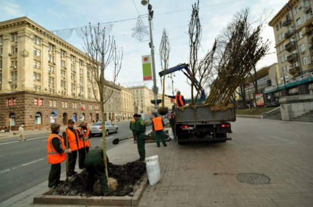 Виновными в "каштановом скандале" остались итальянцы