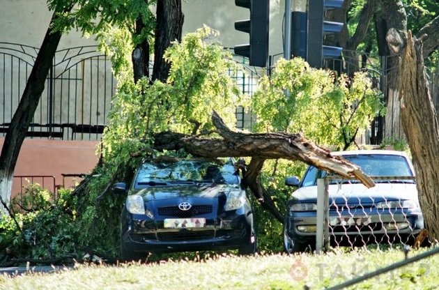 От урагана в Одессе пострадали 36 человек