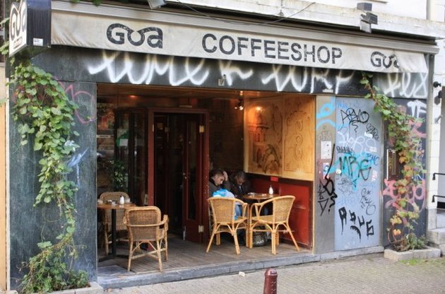 Нидерланды кафе марихуана как и где садить коноплю