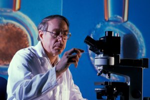 Власть и мозги: match not found