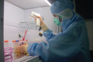 Японские биологи впервые вырастили печень из стволовых клеток