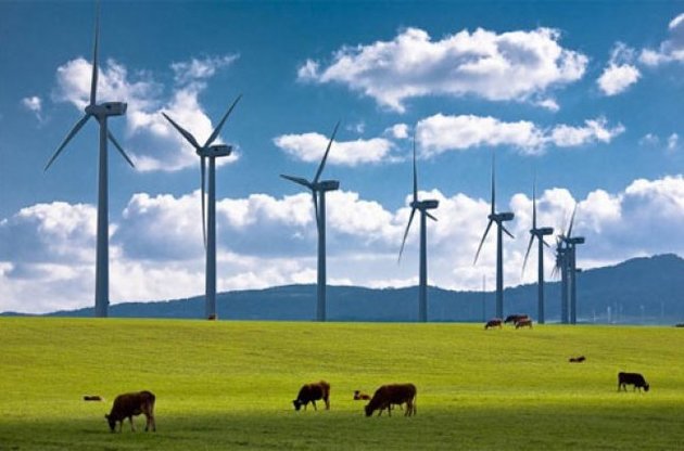Мафія в Європі стала одним з головних інвесторів альтернативної енергетики