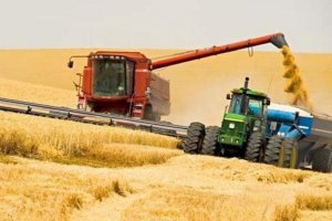 На какую модель аграрного сектора  должна ориентироваться Украина  в стратегической перспективе?