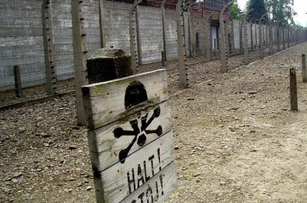 В Европе пройдет крупная кампания по поиску последних нацистских преступников