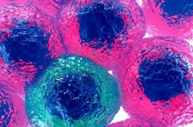 Новый вирус в десять раз крупнее уже известных