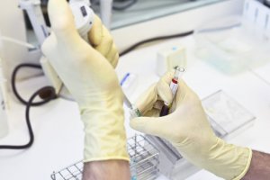 Медики успешно завершили первую фазу испытаний вакцины от малярии