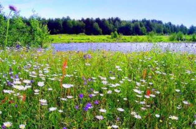 До початку осені в Україні збережеться спекотна погода
