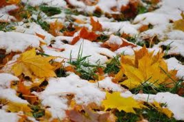 В начале октября в Украине выпадет снег, а потом потеплеет до +20