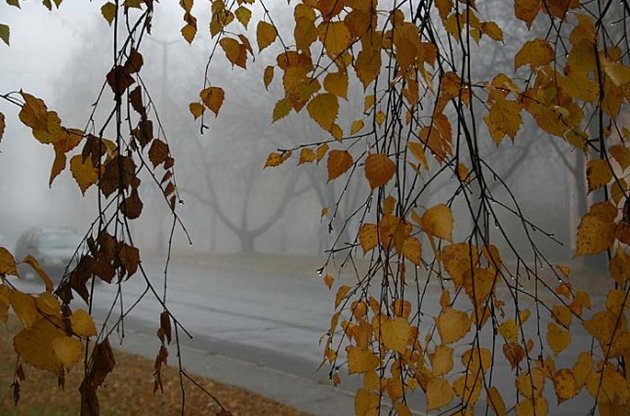 В Україну йде холодна погода з мокрим снігом та дощами