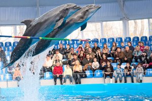 Про людей і дельфінів