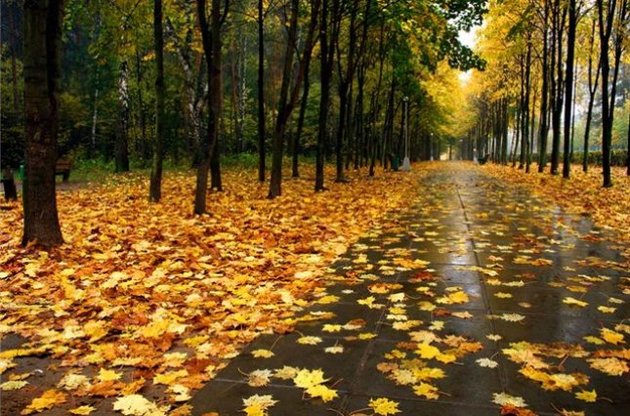 В середине недели в Украине закончится бабье лето: похолодает и придут дожди