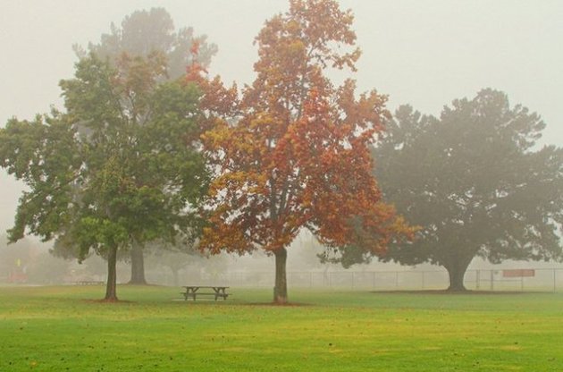 В Україні на вихідних зіпсується погода.