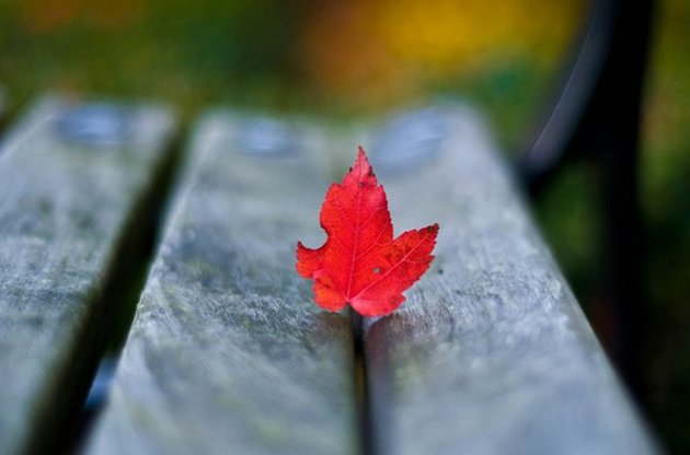 Синоптики прогнозируют теплую погоду в Украине до конца октября