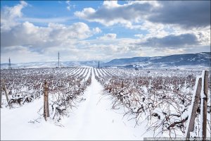 Перевантаження ліфтів