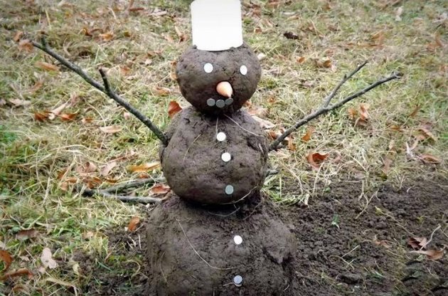 На Новый год и Рождество в Украине будет плюсовая температура, снег не предвидится