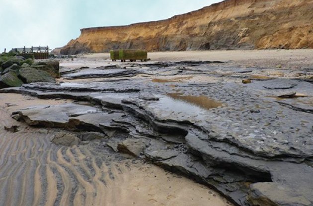 В Великобритании обнаружены следы человека, жившего 800 тысяч лет назад