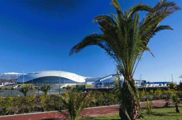 Пальми виглядають трохи абсурдно у місці проведення зимової Олімпіади