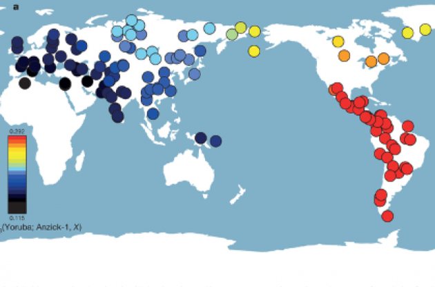 Діаграма генетичної близькості людей Кловіс. Червоним показано близьке споріднення, синім - далеке