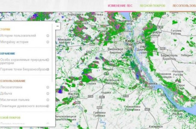 Компания Google представила карту вырубки лесов на планете