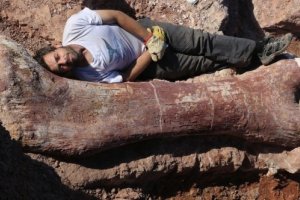 Найдены останки самого крупного в истории динозавра
