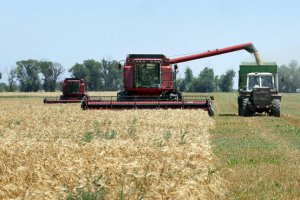 Світові ціни на продовольство виросли через кризу навколо України