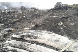 На місці катастрофи авіалайнера під Донецьком знайдено тіла 121 загиблого з 298 - ДСНС