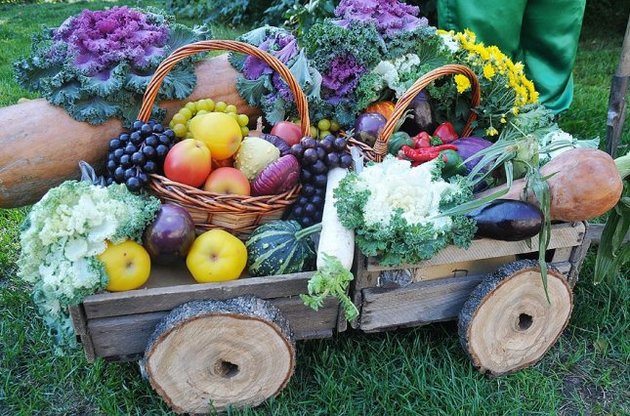 Россия запретила ввоз из Украины овощей и фруктов в багаже
