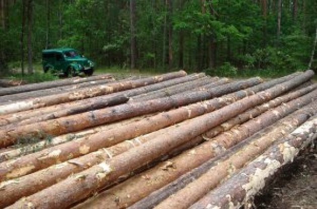 Бродский призвал Яценюка пресечь коррупцию в экспорте леса
