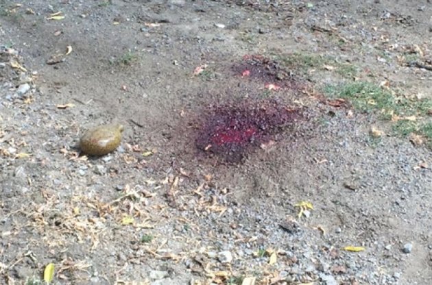 Українська армія втратила під Іловайськом 107 бійців