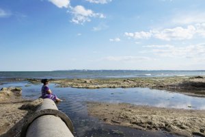 Крыжановские страсти