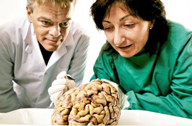 Нобелевскую по медицине присудили за открытие "системы GPS" в мозге