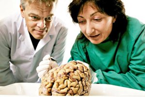 Нобелівську з медицини присудили за відкриття "системи GPS" в мозку