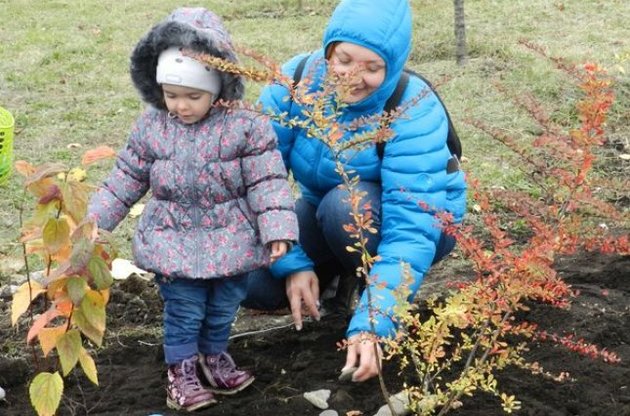 Купил машину? Посади дерево!
