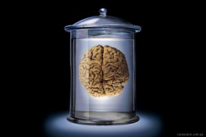 Ворованные мозги