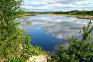 У Донбасі через бої зруйновано п'ять природних заповідників