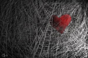 Чума. Воспоминания о лете и выборах