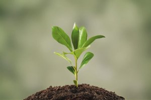 Не себе, но людям