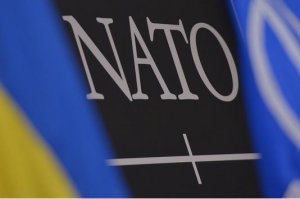 Законопроект Порошенко не предполагает членства в НАТО - Гриценко