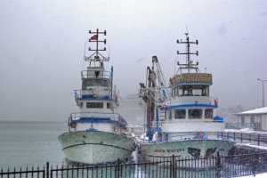 Через снігопади у південних областях обмежена робота морських портів