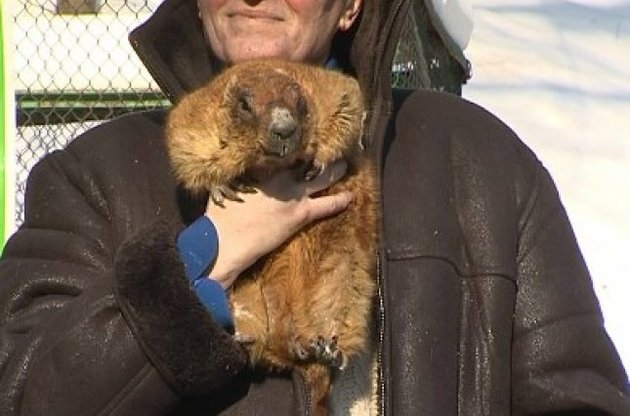 Тимка не довелося будити, він прокинувся сам